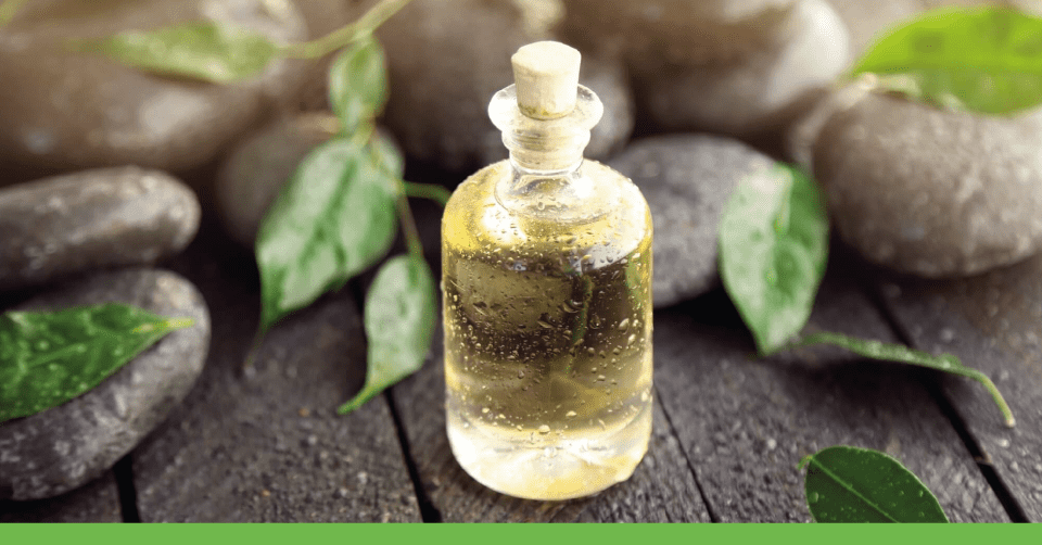 #DentroLaMateriaPrima: il Tea Tree oil