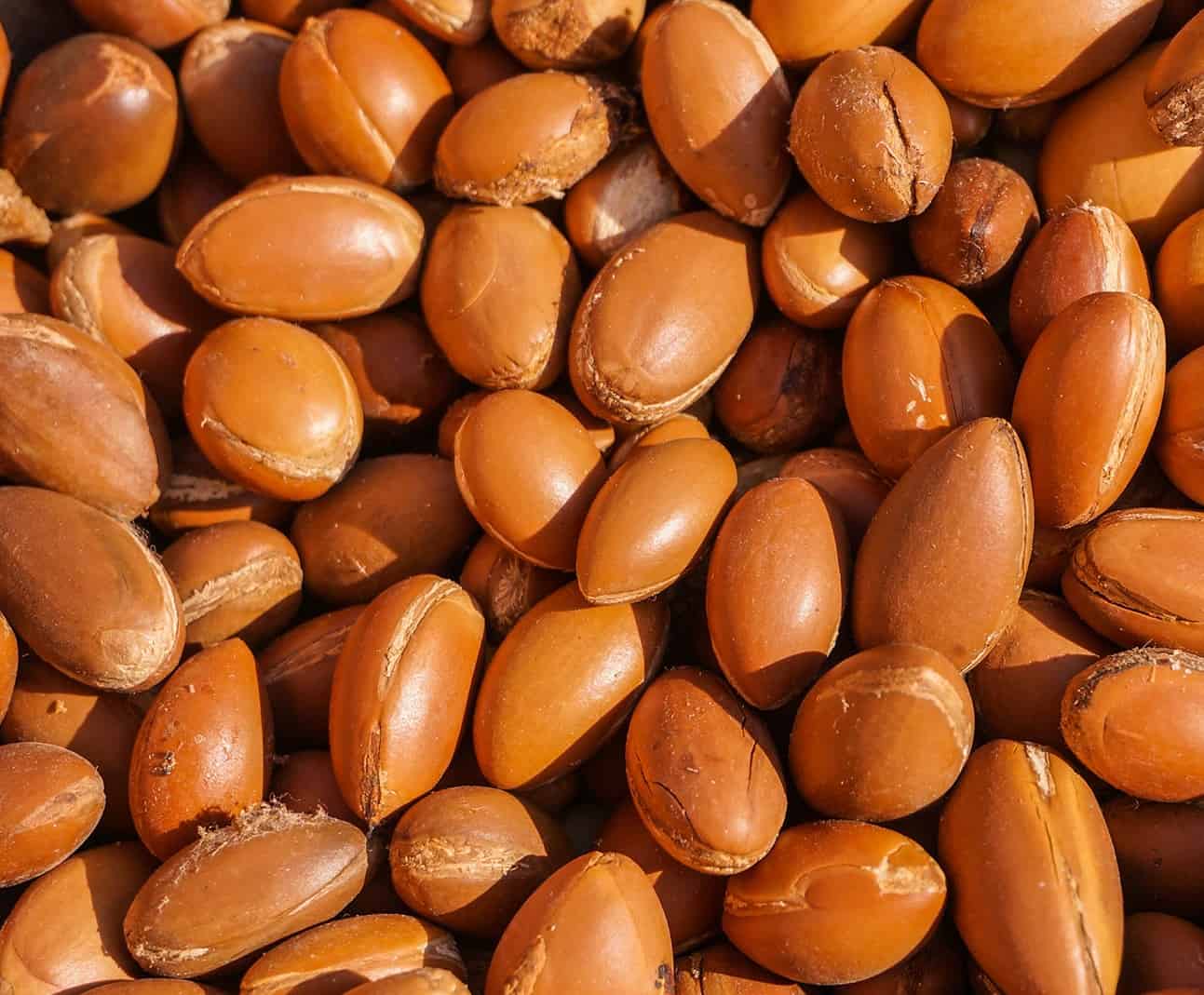 Olio Vergine di Argan del Marocco