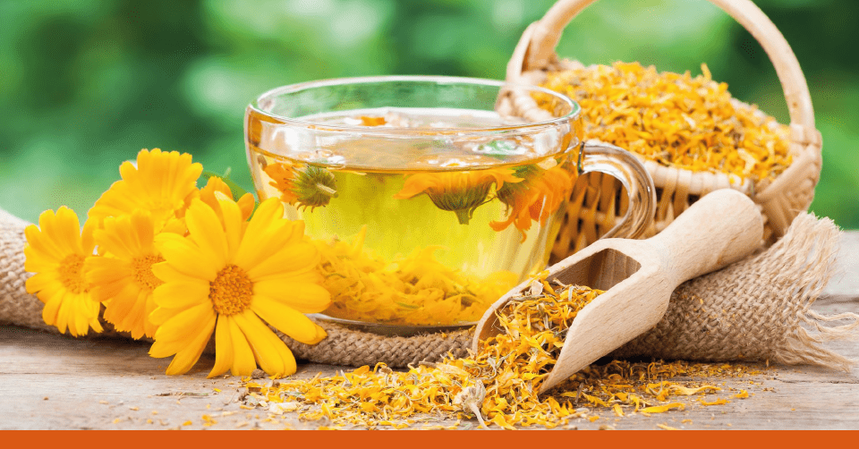 #DentroLaMateriaPrima: Calendula Officinale