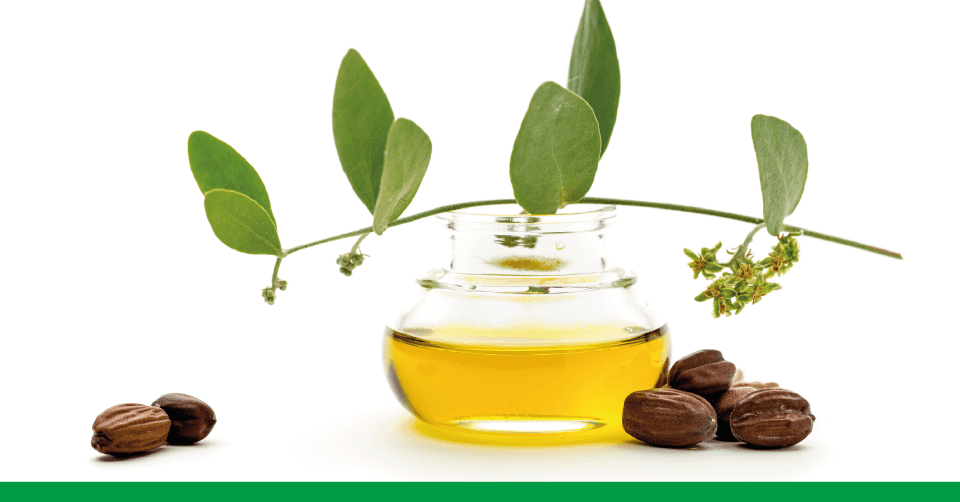 #DentroLaMateriaPrima: olio di Jojoba