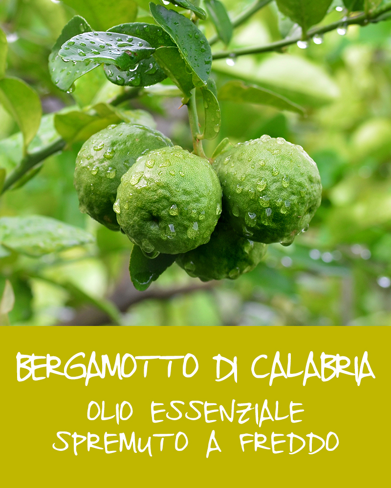 C. Ingrediente Bergamotto 1