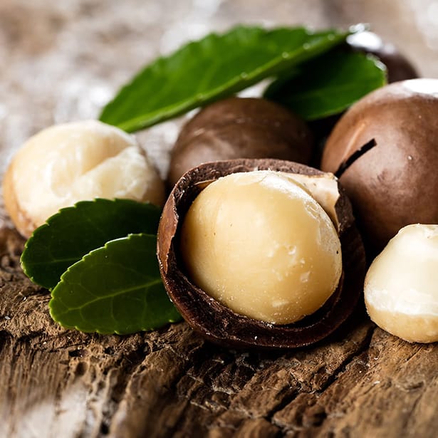 macadamia-ingrediente-1