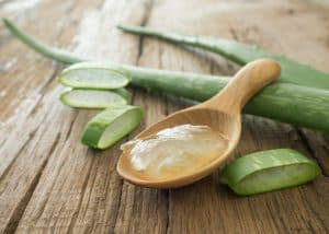 Gel d i Aloe Vera: benefici e proprietà