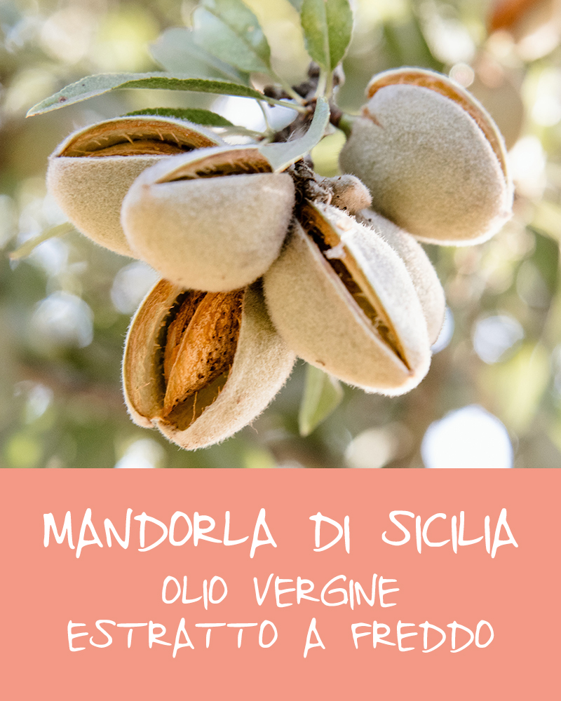 C. Ingrediente Mandorla di Sicilia 1